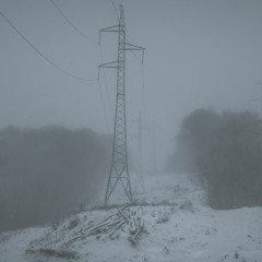december 2008