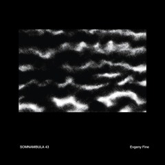 Somnambula 43 — Evgeny Fine