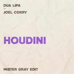 Dua Lipa vs. Joel Corry - Houdini (Mister Gray Edit)