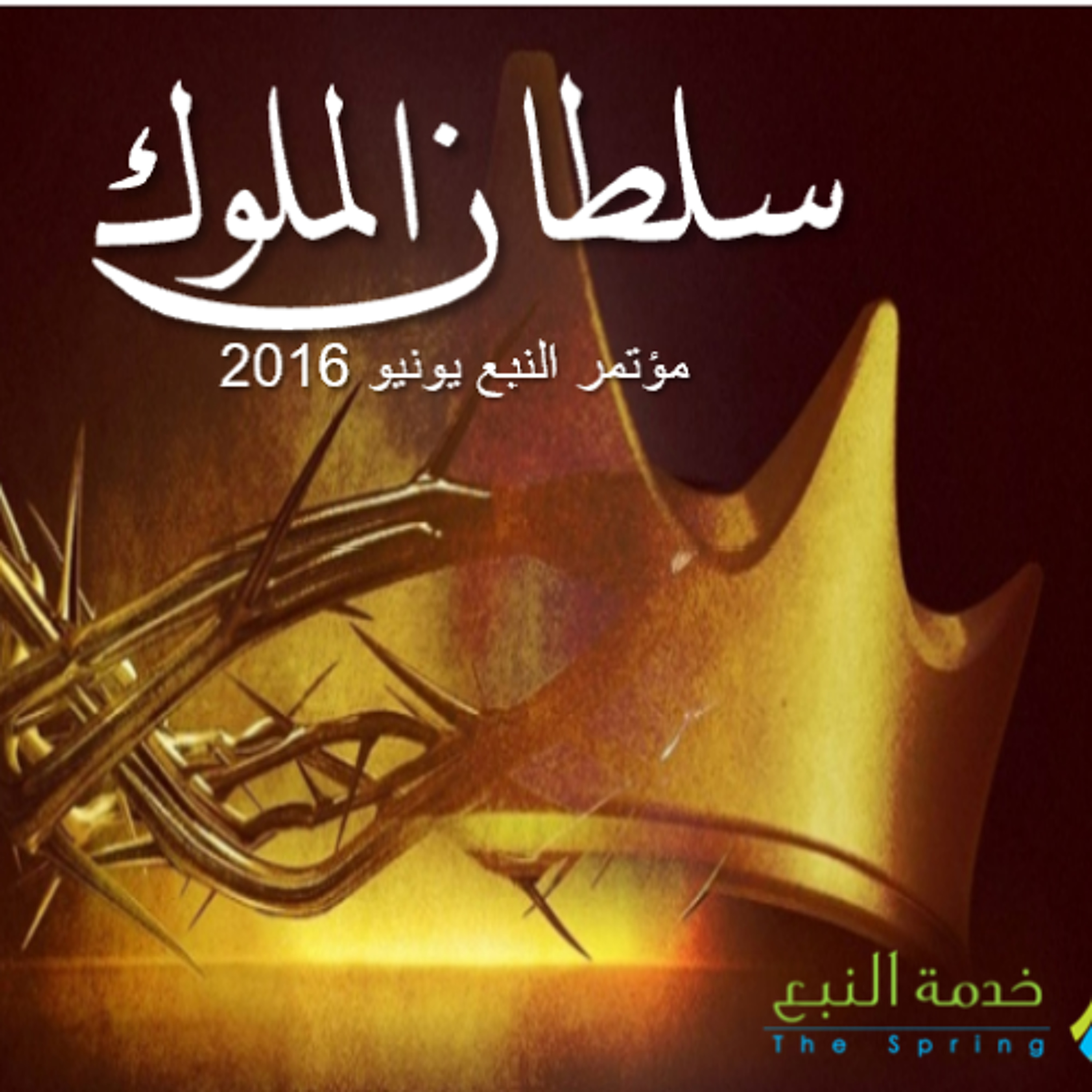 د. نادر شوقى - ملوك وكهنه - مؤتمر النبع يونيو 2016
