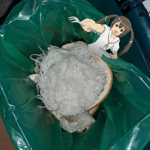 noodles in a pomelo shell (demo)