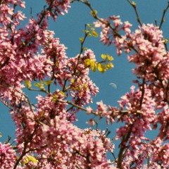 (FREE) Lo-fi Type Beat - Dreaming of You