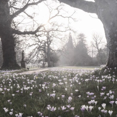 По лезвию ножа #freestyle