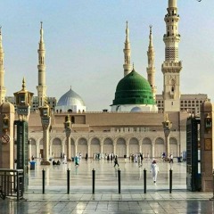وصف سيدنا النبى ﷺ من مولد الأمام المناوي، لفضيلة الشيخ محمد عوض المنقوش .wma
