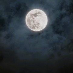 Sogni d’Oro (Orchestral)