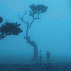 vanish