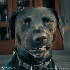 Driveways and Culdesacs