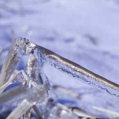 From Yonder We Came (A Demo From A Friend (feat. Wereskin))