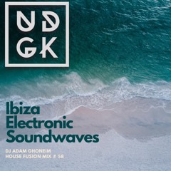 Ibiza Electronic Soundwaves on UDGK Radio (Fusion Mix) # 58