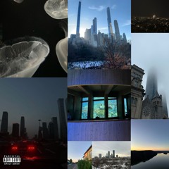 y is dat 2 (with shawny) (bonus)