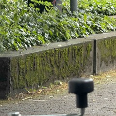 NOISY (no Master)