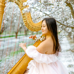 Little Moments on Harp - Reinur Selson