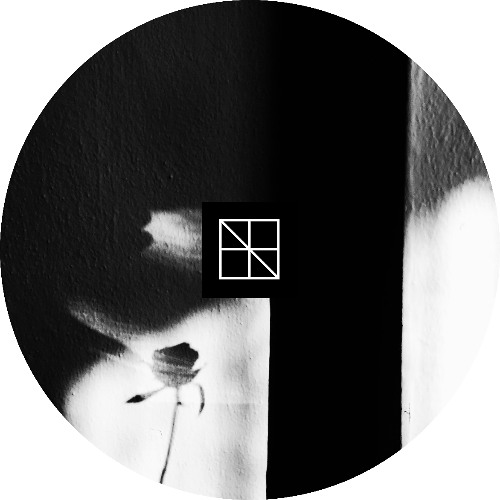 FMD PREMIERE: dxrvo - Static Rick [BST028]