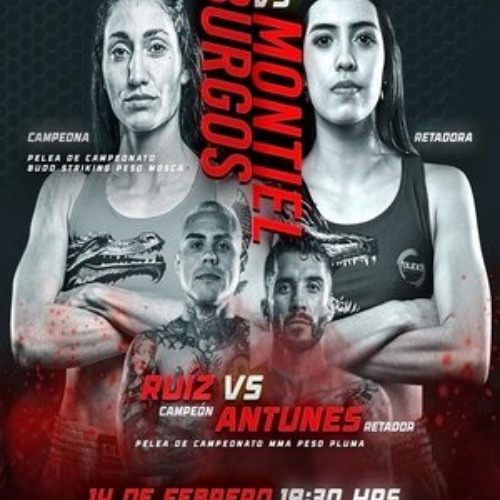 Mira Budo Sento Championship 27 2025 gratis online en HD con subtítulos en español