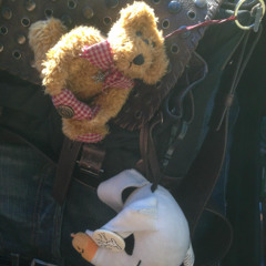 blasphemer - i Guess my Time runs Out