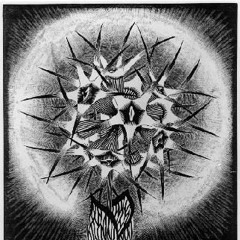 Genetic Curse