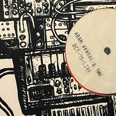 Tribute to TmH and Adam Vandal vinyl mix only