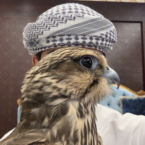 محمد عبده - ياليل خبرني