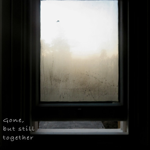 Classical Music For Studying & Focus - 2