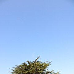 2SICK2CRY + JURNO - CODING (SPED UP)