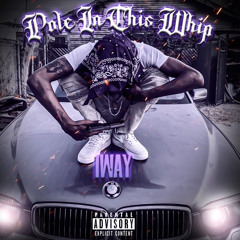 1WAY- pole in this whip