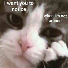 Creep - Radiohead Cover - Cat Worship