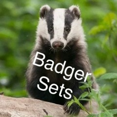 Badger Set 20