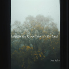 How Do You Know When It's Too Late?