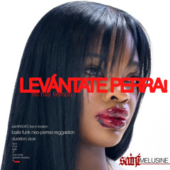 saintRADIO: levántate perra, no hay tiempo