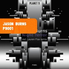 PREMIERE : Jason Burns - Crystal Canyon [P9001]