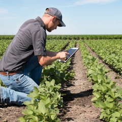 How Soil Could Save The Planet