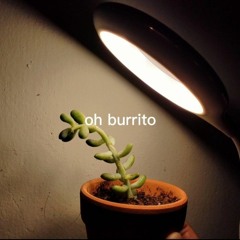 Burrito