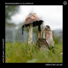 Entanglement w/ DJ Papaya - 22May2023