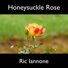Honeysuckle Rose 2024