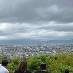 Shelter (reinterpretation)