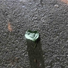 50 Feet remix của Quyền Minor & QuinVy Remix