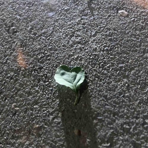 50 Feet remix của Quyền Minor & QuinVy Remix