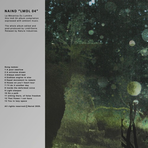 Naind Ar-38 06 Lmdl - House on you'r heart tour
