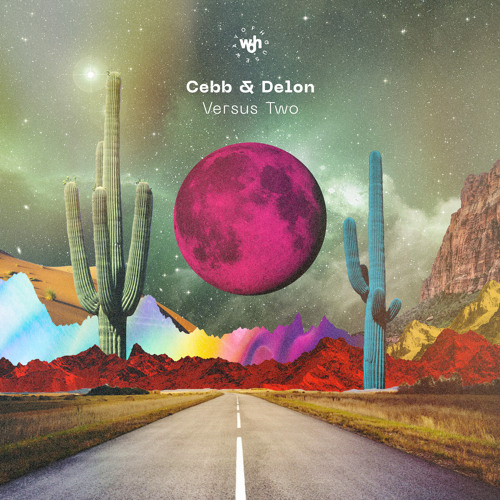 Delon & Cebb - Versus Two (Original Mix)[woh 47]