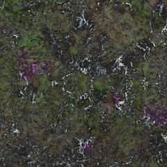 11:11 5 tracks home session