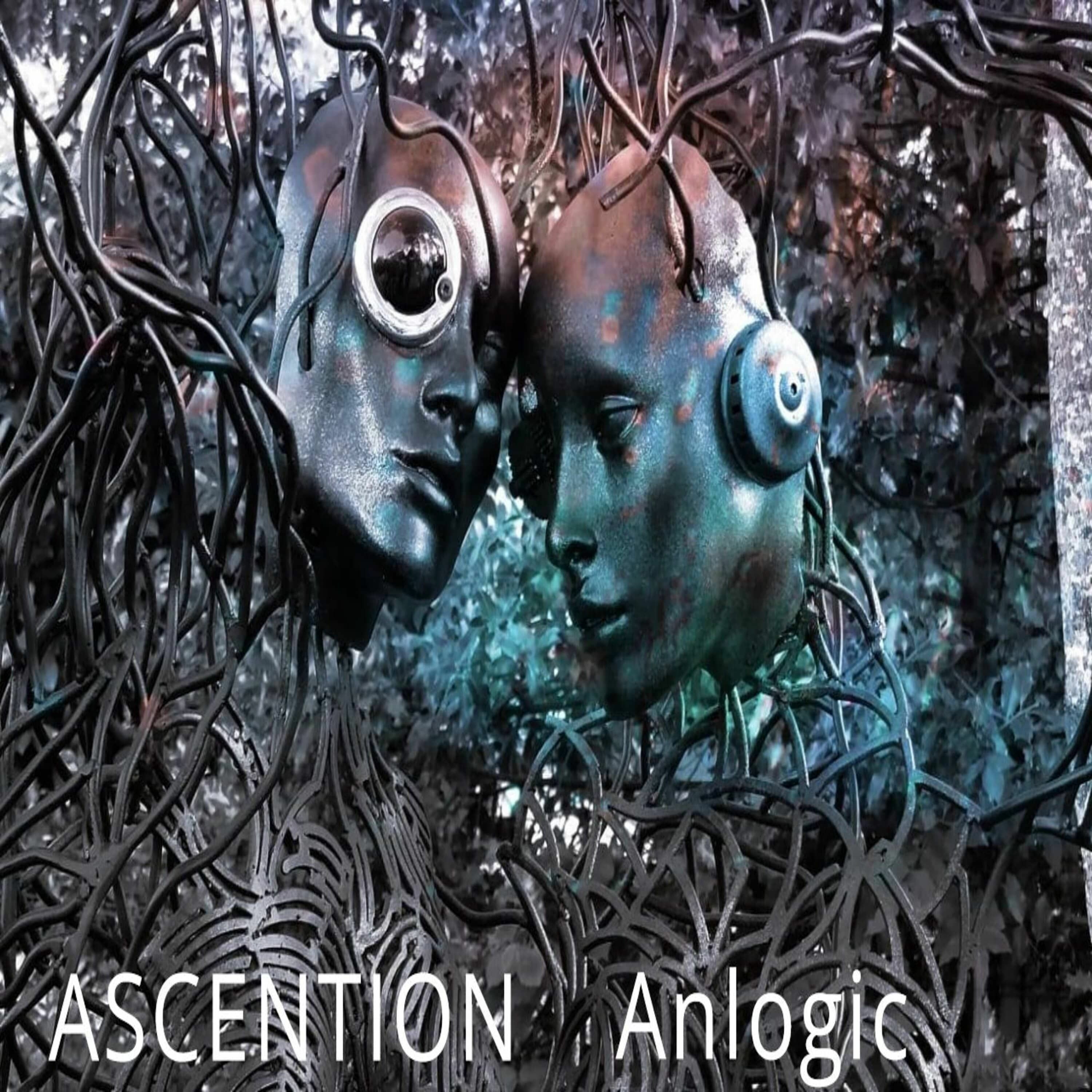 Anlogic