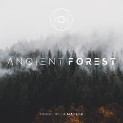 Condensed . Matter | Ancient Forest