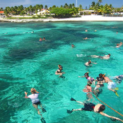 Best Places To Snorkel In Aruba Prices Reviews