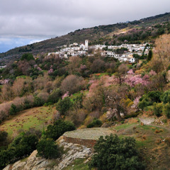 la Era del trance en Ferreirola