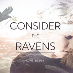 SOTV Message - Ninth Sunday After Pentecost C - "Consider the Ravens" - Luke 12:22-34 - 8/10/25