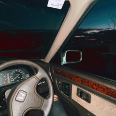 beautiful but deadly demo (prod. Aleksandr Ches Music × Pol Punsh)