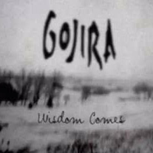 Lizard Skin (Demo) - Gojira