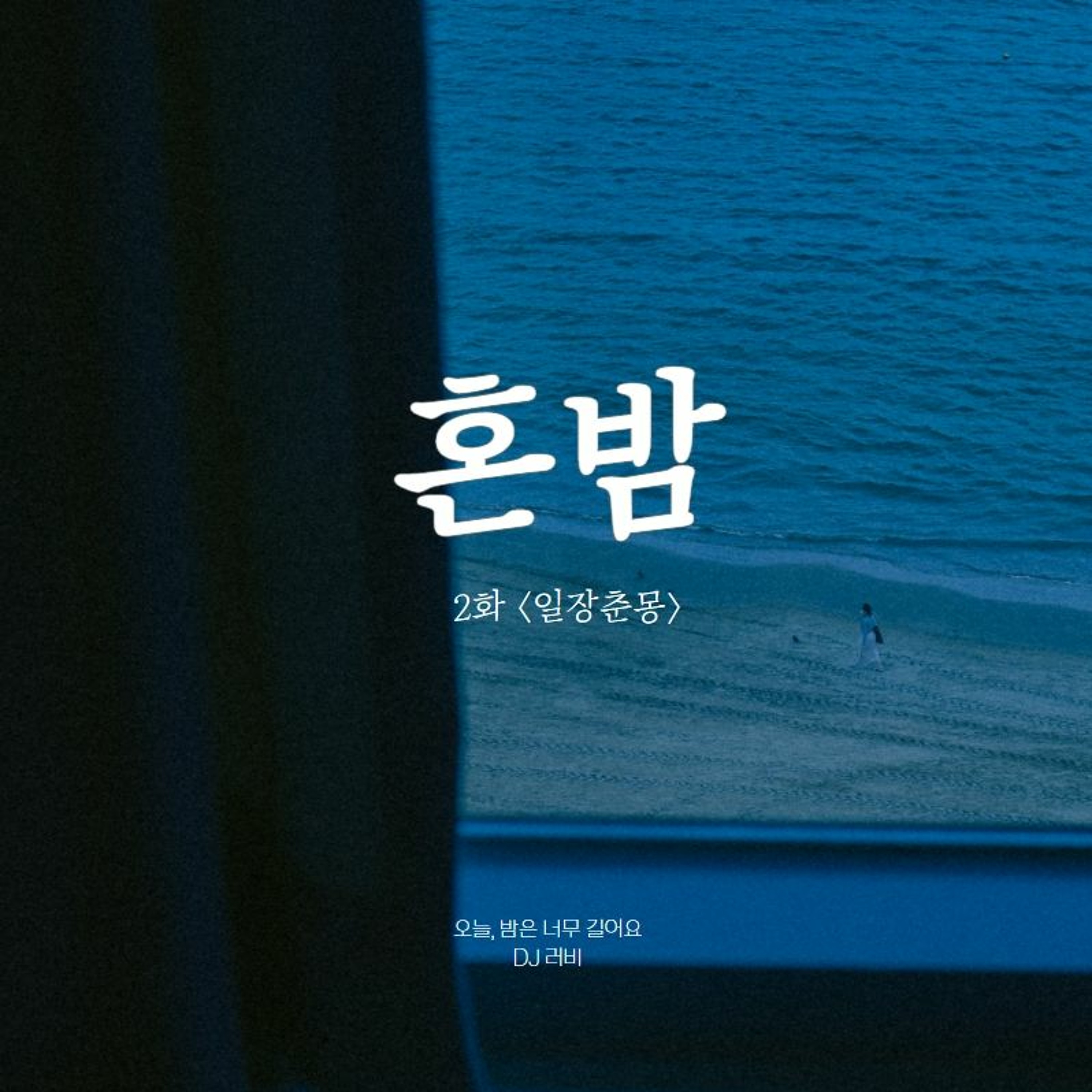 220410 혼밤 2화 <일장춘몽> episode artwork