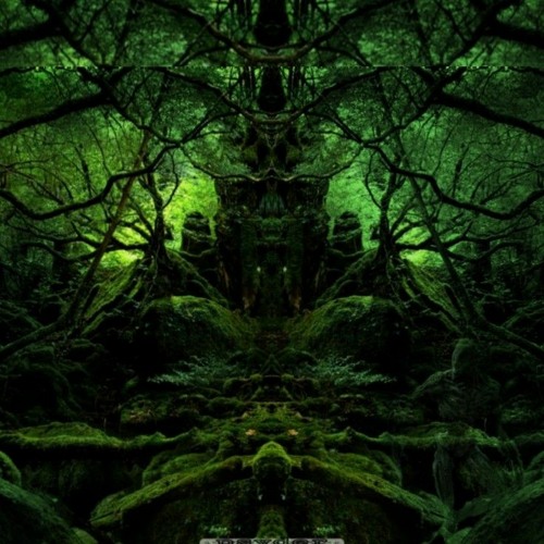NATURAL CODES  •djset•