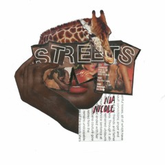 STREETS (Prod. Baileydaniel)